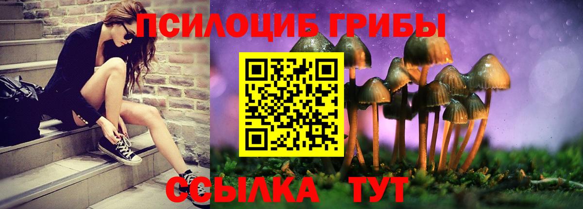 Псилоцибиновые грибы прущие грибы Новозыбков